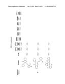 COMPOUNDS FOR MODULATING TRPV3 FUNCTION diagram and image
