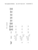 COMPOUNDS FOR MODULATING TRPV3 FUNCTION diagram and image