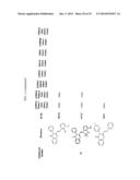 COMPOUNDS FOR MODULATING TRPV3 FUNCTION diagram and image