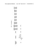 COMPOUNDS FOR MODULATING TRPV3 FUNCTION diagram and image