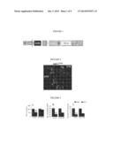 TREATING NEUROLOGICAL DISEASE OR INJURY WITH A DYNAMIN-RELATED PROTEIN 1     (DRP1) ENCODING NUCLEIC ACID diagram and image