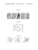 TREATING NEUROLOGICAL DISEASE OR INJURY WITH A DYNAMIN-RELATED PROTEIN 1     (DRP1) ENCODING NUCLEIC ACID diagram and image