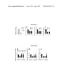 TREATING NEUROLOGICAL DISEASE OR INJURY WITH A DYNAMIN-RELATED PROTEIN 1     (DRP1) ENCODING NUCLEIC ACID diagram and image