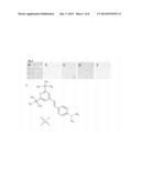 ANTIFUNGAL COMPOUND AND USES THEREOF diagram and image