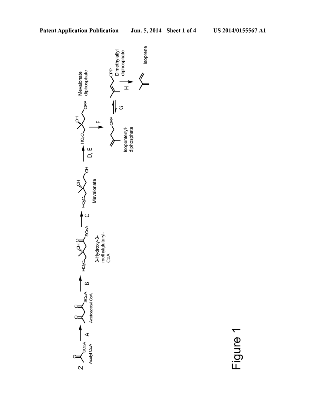 MICROORGANISMS AND METHODS FOR THE BIOSYNTHESIS OF BUTADIENE - diagram, schematic, and image 02