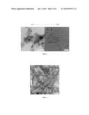 SELF-ASSEMBLY OF THERAPEUTIC AGENT-PEPTIDE NANOSTRUCTURES diagram and image