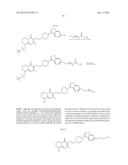 HAPTENS OF RISPERIDONE AND PALIPERIDONE diagram and image