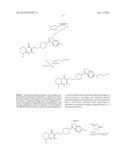 HAPTENS OF RISPERIDONE AND PALIPERIDONE diagram and image