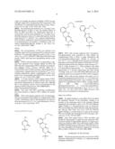 PEPTIDE NUCLEIC ACID DERIVATIVES WITH GOOD CELL PENETRATION AND STRONG     AFFINITY FOR NUCLEIC ACID diagram and image