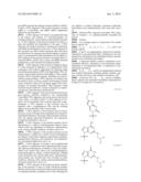 PEPTIDE NUCLEIC ACID DERIVATIVES WITH GOOD CELL PENETRATION AND STRONG     AFFINITY FOR NUCLEIC ACID diagram and image