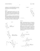 PEPTIDE NUCLEIC ACID DERIVATIVES WITH GOOD CELL PENETRATION AND STRONG     AFFINITY FOR NUCLEIC ACID diagram and image