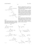 PEPTIDE NUCLEIC ACID DERIVATIVES WITH GOOD CELL PENETRATION AND STRONG     AFFINITY FOR NUCLEIC ACID diagram and image