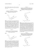 PEPTIDE NUCLEIC ACID DERIVATIVES WITH GOOD CELL PENETRATION AND STRONG     AFFINITY FOR NUCLEIC ACID diagram and image