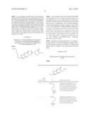 PEPTIDE NUCLEIC ACID DERIVATIVES WITH GOOD CELL PENETRATION AND STRONG     AFFINITY FOR NUCLEIC ACID diagram and image