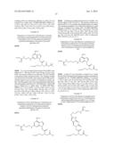 PEPTIDE NUCLEIC ACID DERIVATIVES WITH GOOD CELL PENETRATION AND STRONG     AFFINITY FOR NUCLEIC ACID diagram and image