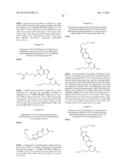 PEPTIDE NUCLEIC ACID DERIVATIVES WITH GOOD CELL PENETRATION AND STRONG     AFFINITY FOR NUCLEIC ACID diagram and image