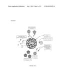 FOCUSED RADIATION FOR AUGMENTING IMMUNE-BASED THERAPIES AGAINST NEOPLASMS diagram and image