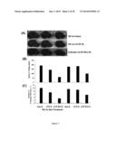 METHOD FOR TREATING BRAIN INJURY OR STROKE diagram and image