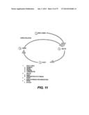 COMMUNICATION SYSTEM AND METHOD FOR NARROWCASTING diagram and image