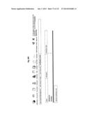 DOCUMENT MANAGEMENT SYSTEM diagram and image