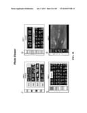 SYSTEMS AND METHODS FOR ORGANIZING AND DISPLAYING HIERARCHICAL DATA     STRUCTURES IN COMPUTING DEVICES diagram and image