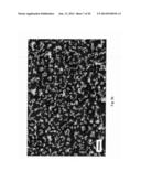 NANOPARTICLE APPARATUS AND METHOD diagram and image