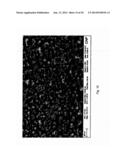 NANOPARTICLE APPARATUS AND METHOD diagram and image