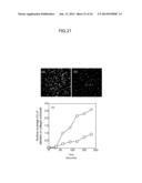 THIN FILM-LIKE POLYMER STRUCTURE AND METHOD FOR PREPARING THE SAME diagram and image