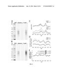 MICROFLUIDIC METHODS OF ASSAYING MOLECULE SWITCHING AND DEVICES FOR     PRACTICING THE SAME diagram and image