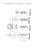 Umbrella engage with Carrier Bag diagram and image