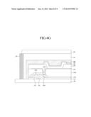 ORGANIC LIGHT EMITTING DIODE DISPLAY DEVICE AND METHOD OF FABRICATING THE     SAME diagram and image