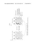 ORGANIC LIGHT-EMITTING ELEMENT diagram and image