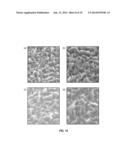 SEMICONDUCTOR DEVICE AND METHOD FOR MANUFACTURING A SEMICONDUCTOR DEVICE     HAVING AN UNDULATING REFLECTIVE SURFACE OF AN ELECTRODE diagram and image