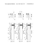 COMPLIANT MICRO DEVICE TRANSFER HEAD ARRAY WITH METAL ELECTRODES diagram and image