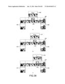 INFORMATION PROCESSING APPARATUS, INFORMATION PROCESSING METHOD, AND     PROGRAM diagram and image