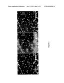 SINGLE IMAGE SUPER-RESOLUTION MICROSCOPY AND TELESCOPE SYSTEMS diagram and image