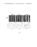 MULTILAYER POLYMER DIELECTRIC FILM diagram and image