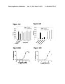 Molecular Imaging of Cancer Cells In Vivo diagram and image