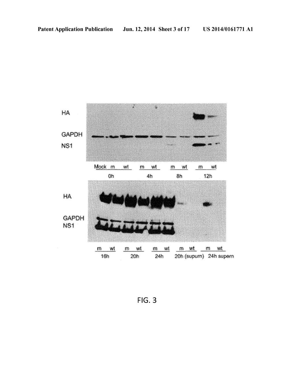 RECOMBINANT INFLUENZA VIRUSES AND CONSTRUCTS AND USES THEREOF - diagram, schematic, and image 04