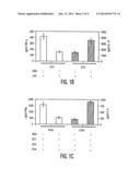 MESENCHYMAL STEM CELLS AND USES THEREFOR diagram and image