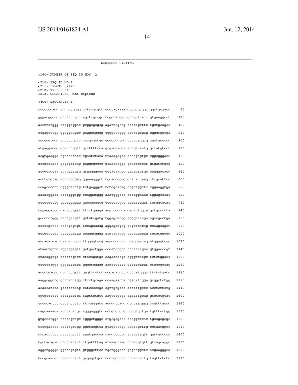 METHODS AND COMPOSITIONS RELATING TO P62 FOR THE TREATMENT AND PROPHYLAXIS     OF CANCER - diagram, schematic, and image 25