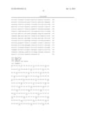METHODS AND COMPOSITIONS RELATING TO P62 FOR THE TREATMENT AND PROPHYLAXIS     OF CANCER diagram and image