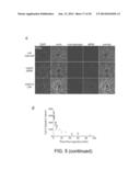 AMINE-CONTAINING LIPIDOIDS AND USES THEREOF diagram and image