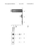 COSMETIC WITH ENHANCED COLLAGEN I SYNTHESIS diagram and image