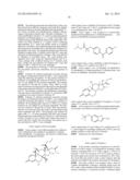 PHARMACEUTICAL COMPOSITIONS OF DEXTRAN POLYMER DERIVATIVES diagram and image