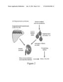 USE OF ANGIOGENESIS ANTAGONISTS IN CONDITIONS OF ABNORMAL VENOUS     PROLIFERATION diagram and image