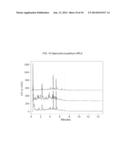 Use of Nesprin-2 Expression Modulators and Compositions Thereof diagram and image