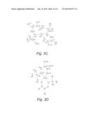 Synthesis and Characterization of First Row Transition Metal Complexes     Containing alpha-keto Hydrazonate Ligands as Potential Precursors for Use     in Metal Film Deposition diagram and image