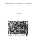 POROUS CARBON-CONTAINING COMPOUNDS AS WATER CARRIERS AND CELL SIZE     CONTROLLING AGENTS FOR POLYMERIC FOAMS diagram and image