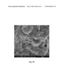 FUNCTIONALIZED CARBON NANOTUBE COMPOSITE diagram and image